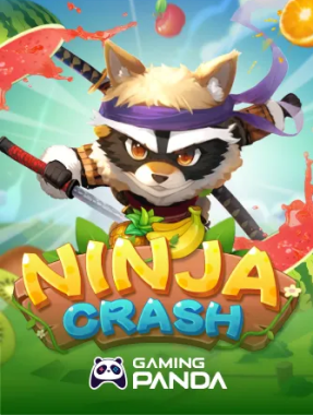 Ninja Crash